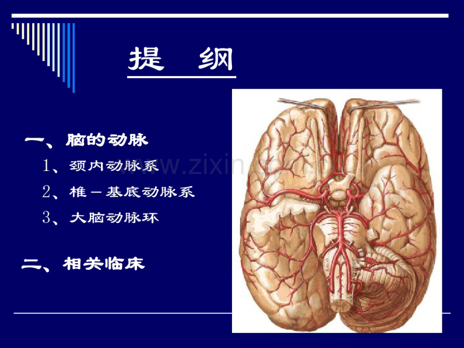 脑动脉解剖图讲解.pdf_第2页