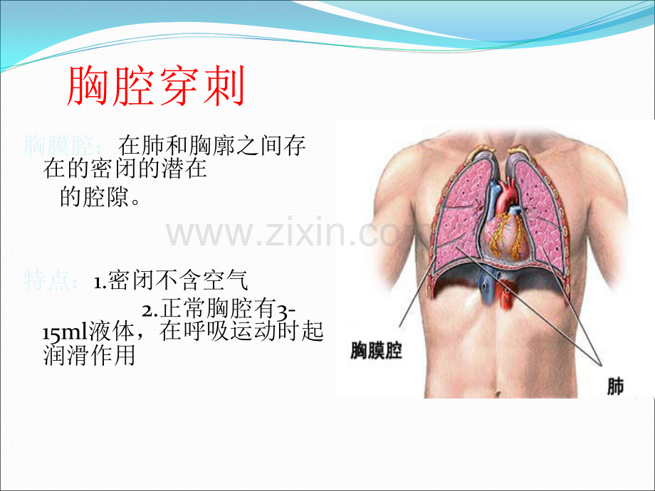 胸穿、腹穿(ppt文档).ppt_第2页