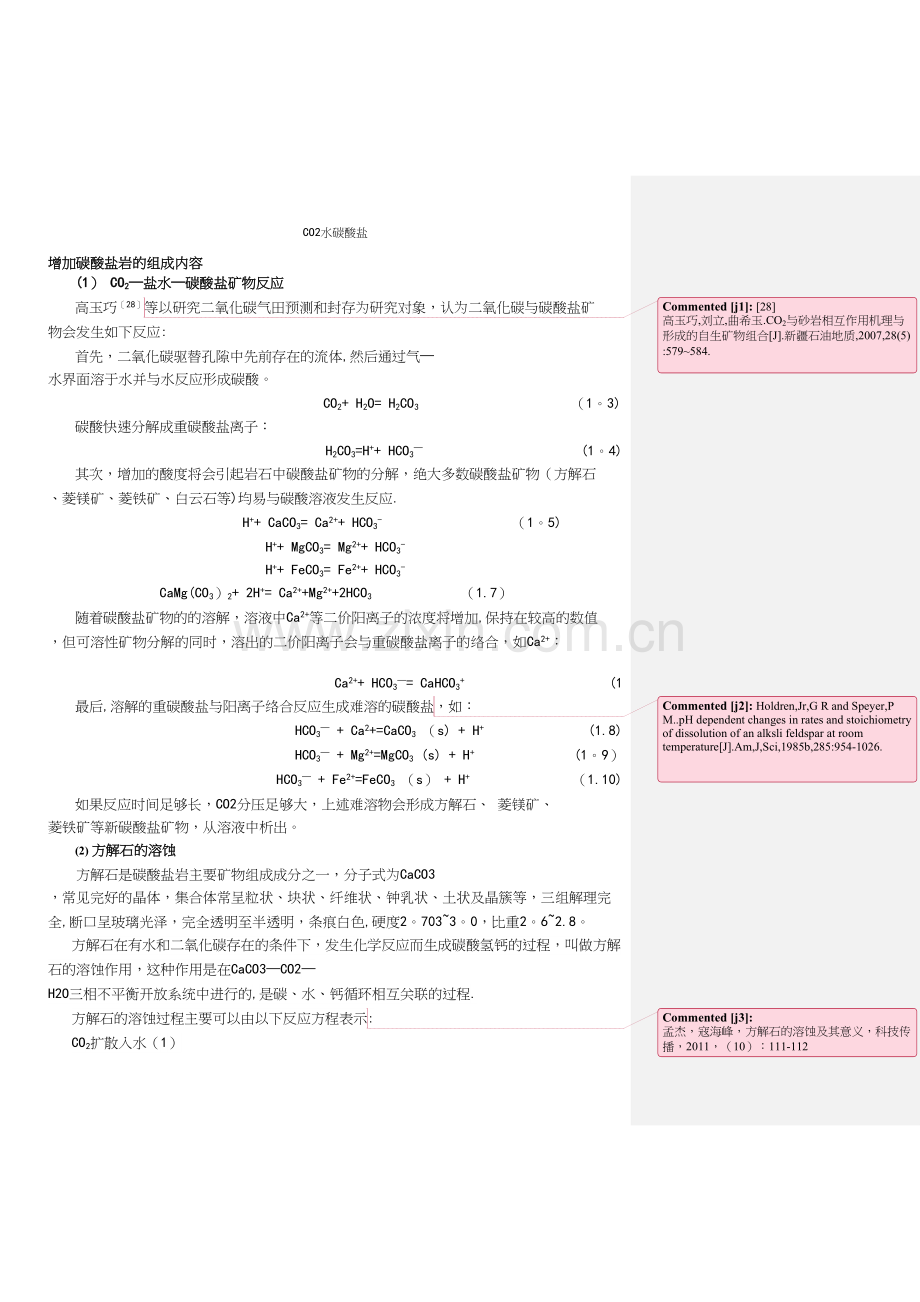 CO2水碳酸盐.docx_第2页