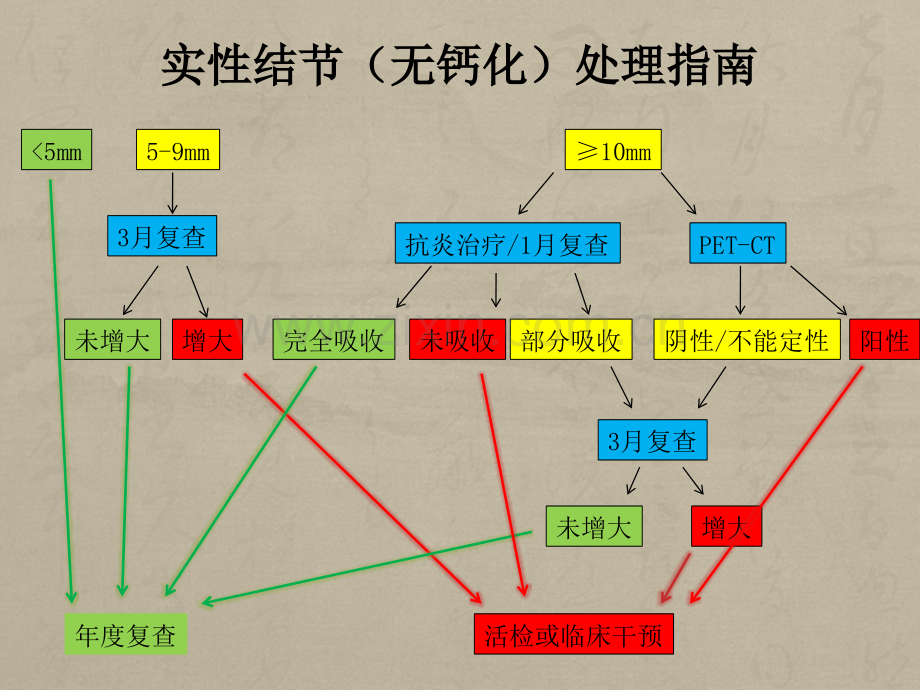 肺结节指南.ppt_第1页