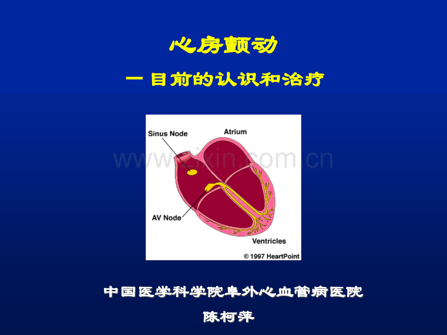 陈柯萍老师课件-心房颤动.ppt_第1页