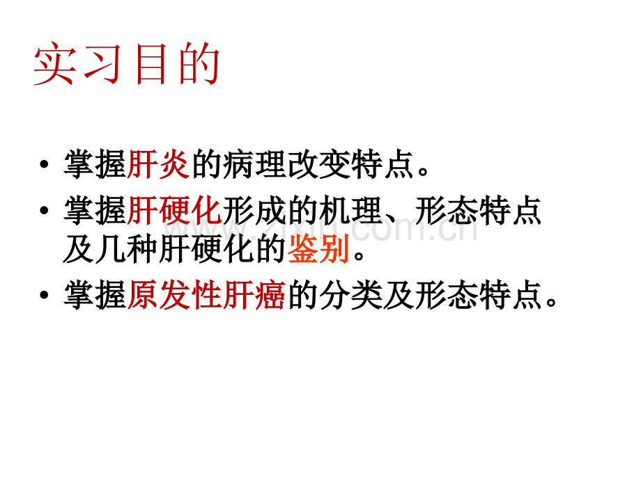 病理实习PPT课件实习14-消化系统疾病..(二)-(ppt文档).ppt_第2页