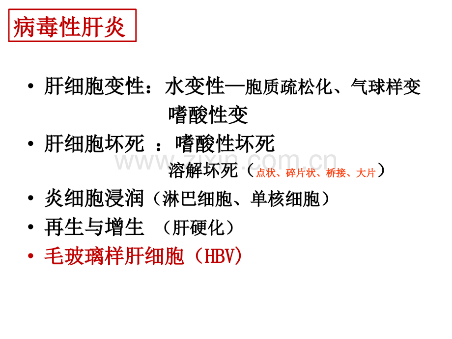 病理实习PPT课件实习14-消化系统疾病..(二)-(ppt文档).ppt_第3页