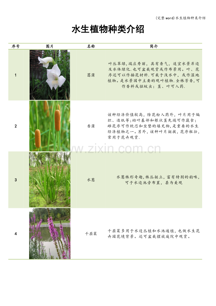 水生植物种类介绍.doc_第1页