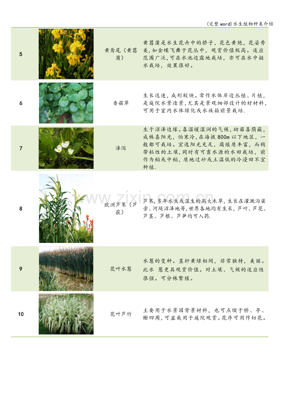 水生植物种类介绍.doc_第2页