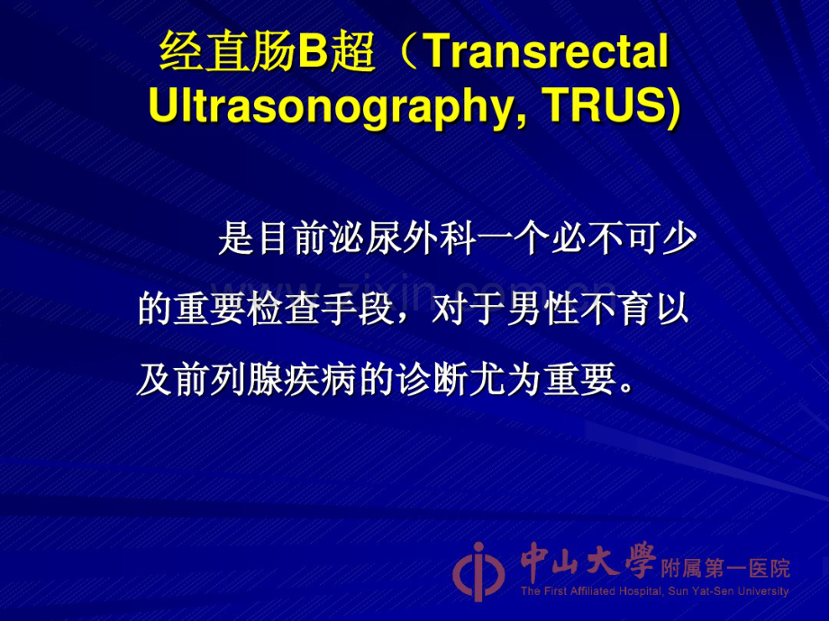 TRUS在男科疾病中的应用.pdf_第2页