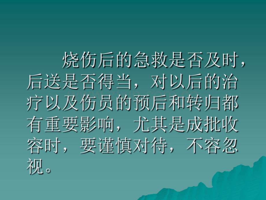 烧伤的急救与后送.pdf_第2页