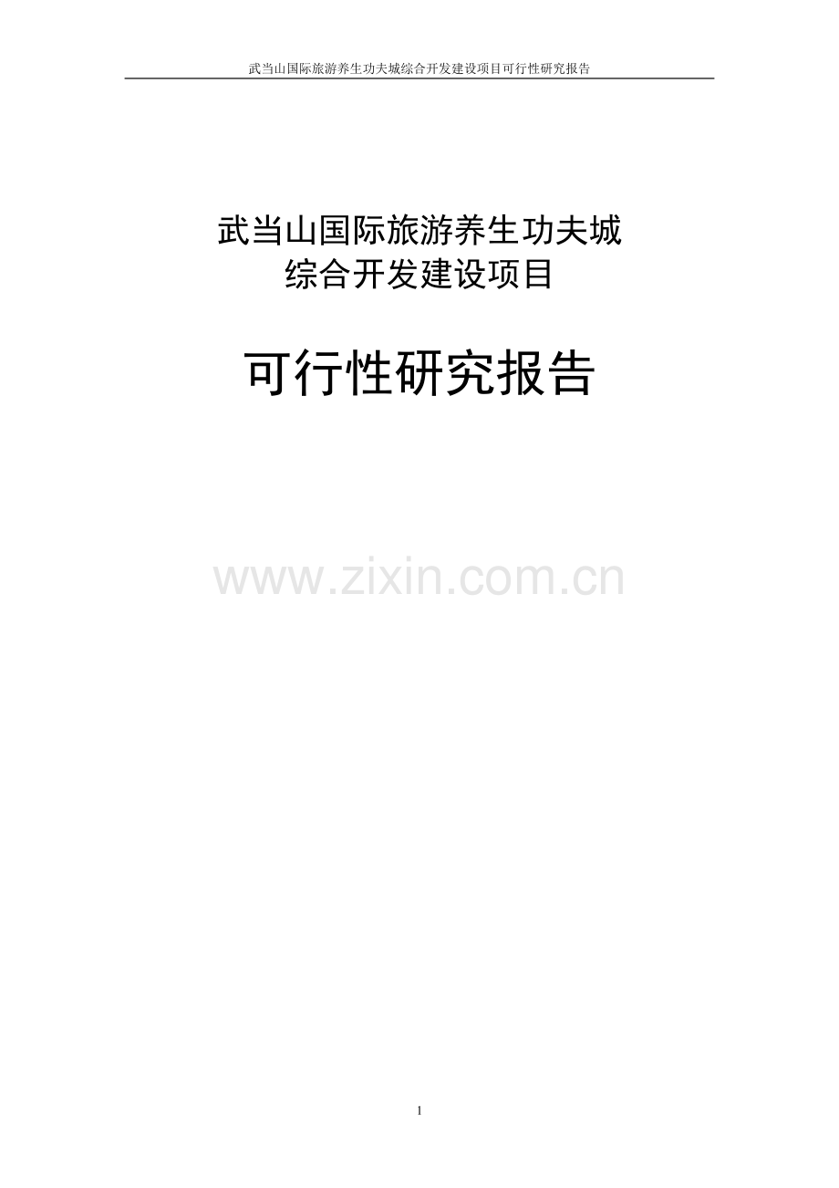 武当山国际旅游养生功夫城综合开发项目建设投资可行性研究报告.doc_第1页