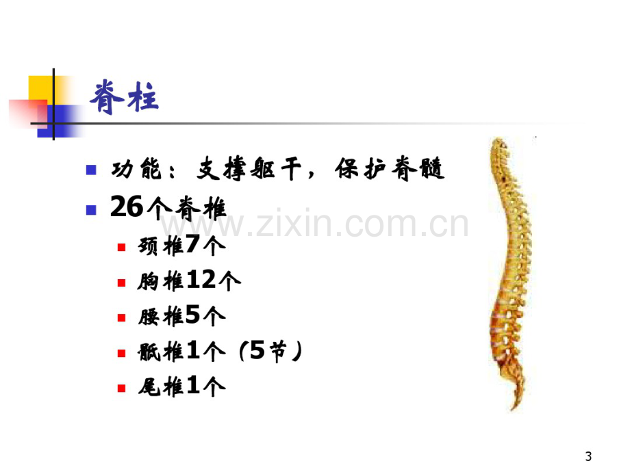 脊髓损伤评定.pdf_第3页