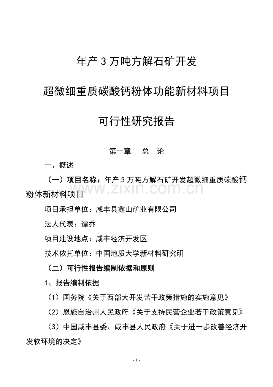 鑫山矿业有限公司年产3万吨方解石矿开发超微细重质碳酸钙粉体功能新材料项目可行性研究报告.doc_第1页