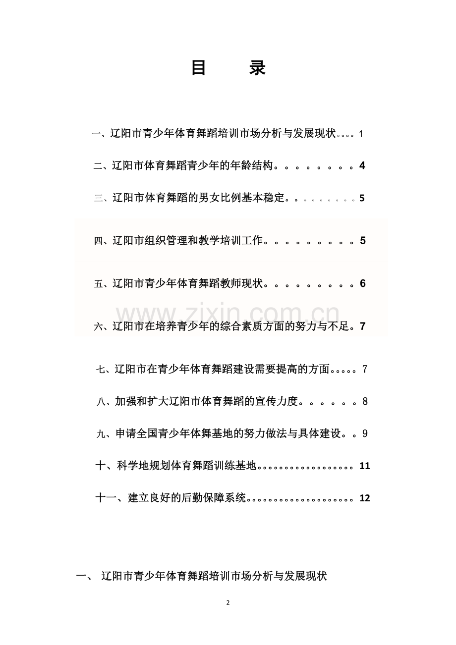 建立青少年体育舞蹈培训基地项目可行性研究报告.doc_第2页