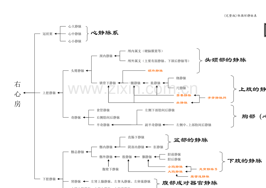 体循环静脉表.doc_第1页