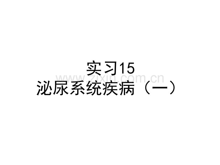 病理实习PPT课件实习15-泌尿系统(一)(ppt文档).ppt_第1页