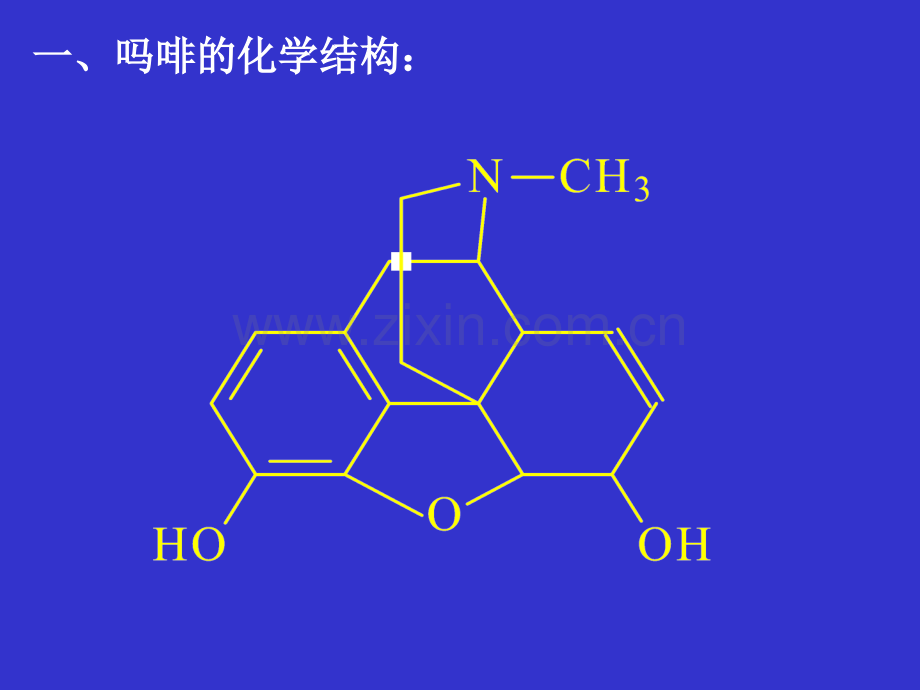 2013执业兽医资格考试药理学-第三章镇痛药.ppt_第3页