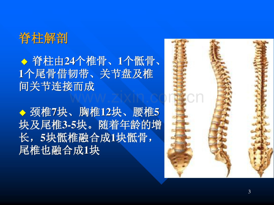 脊髓损伤的评定-(2).pdf_第3页