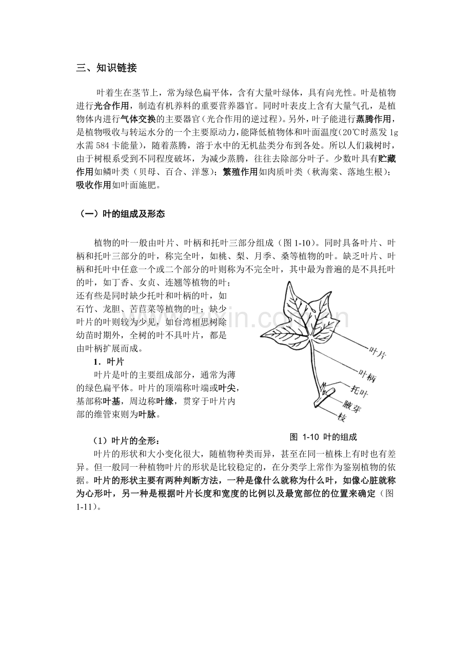 植物器官的宏观认知.doc_第2页