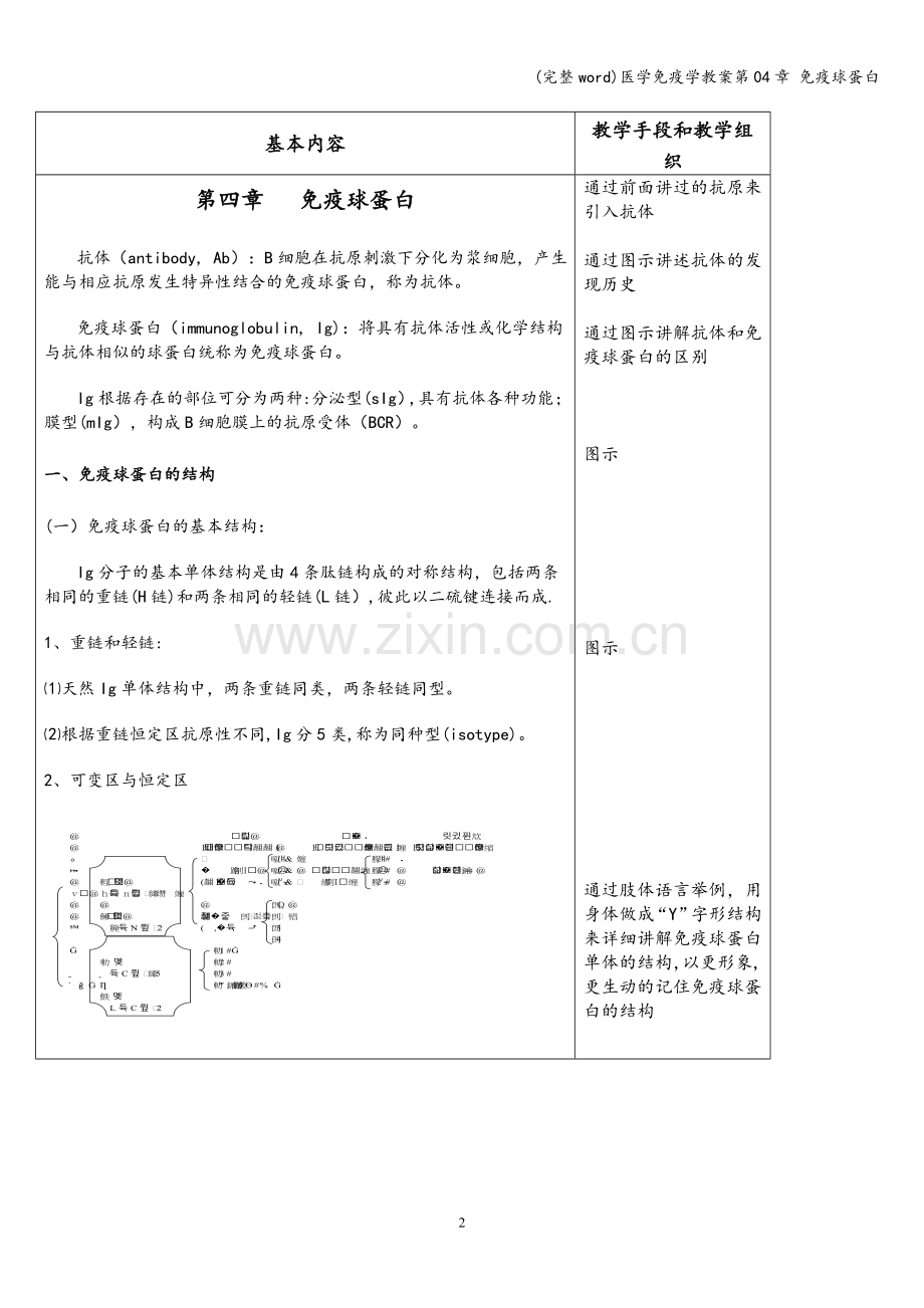 医学免疫学教案第04章-免疫球蛋白.doc_第2页