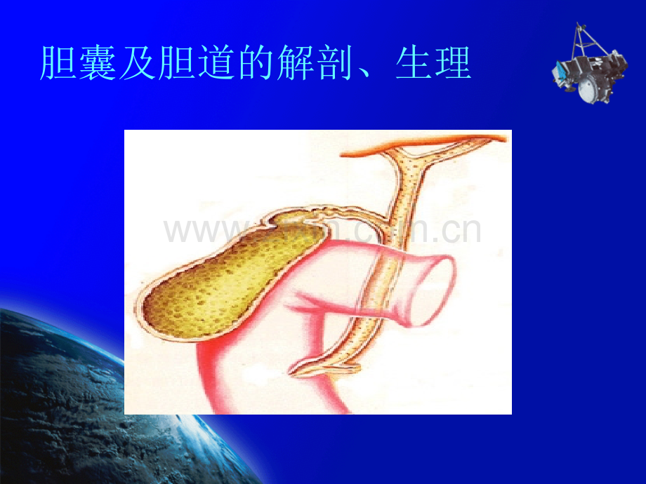 胆囊结石(ppt文档).ppt_第2页