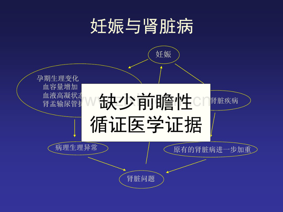 妊娠和肾脏病研修班(20190827182639).pdf_第2页