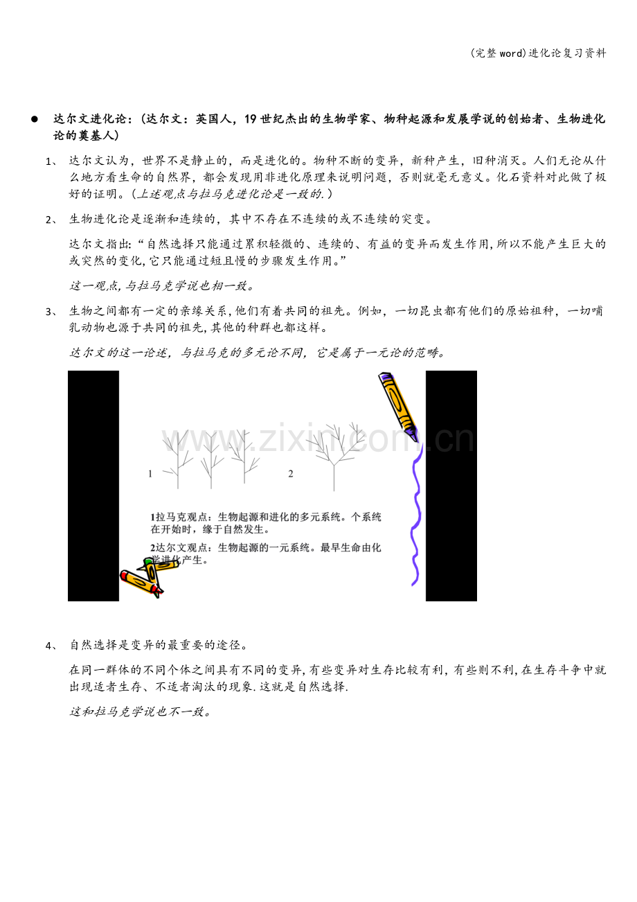 进化论复习资料.doc_第2页