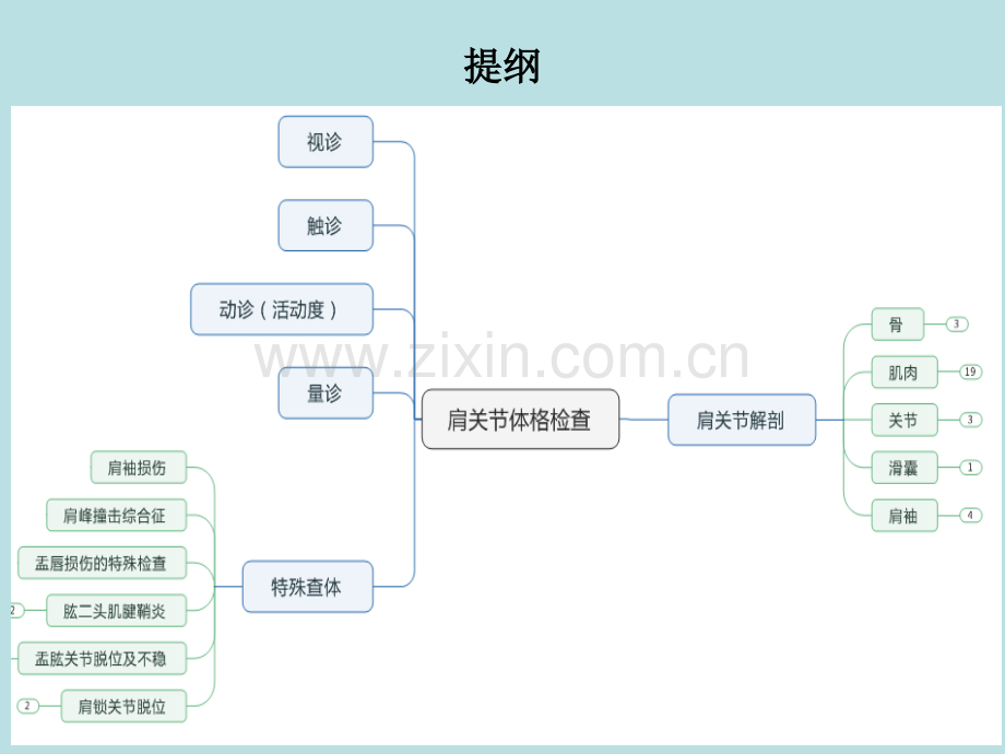 肩关节解剖、常用查体方法.ppt_第2页