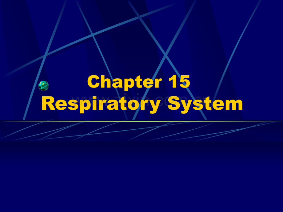 e15.Respirat0ry-System呼吸系统(ppt文档).ppt_第2页