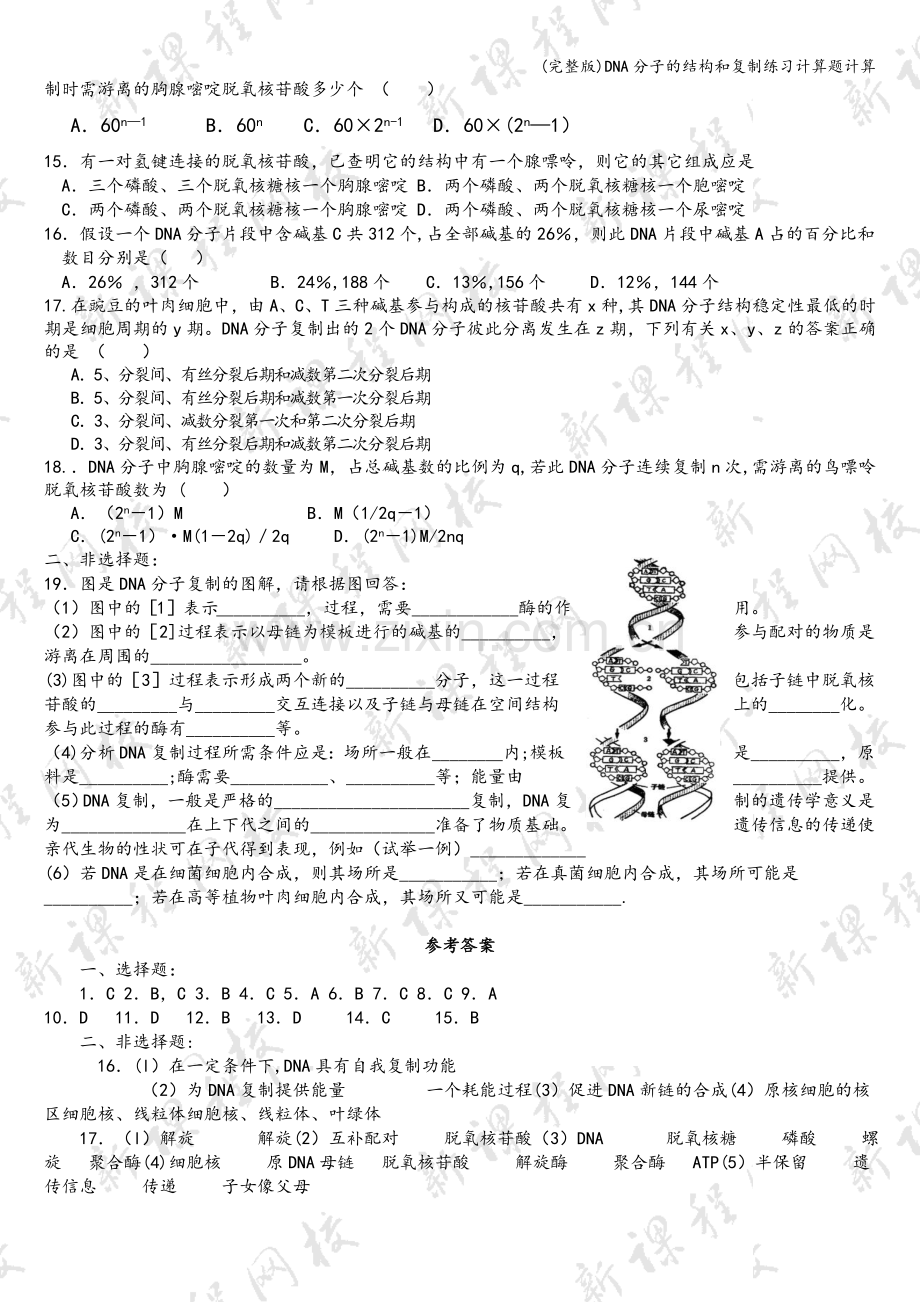 DNA分子的结构和复制练习计算题计算.doc_第2页