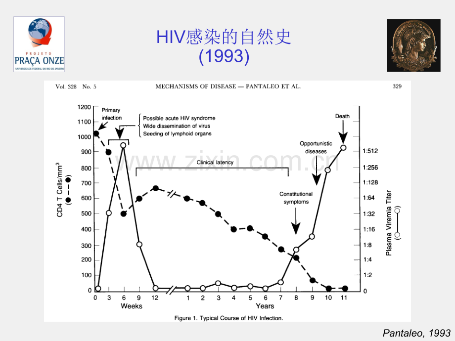 艾滋病抗病毒早治疗.ppt_第2页