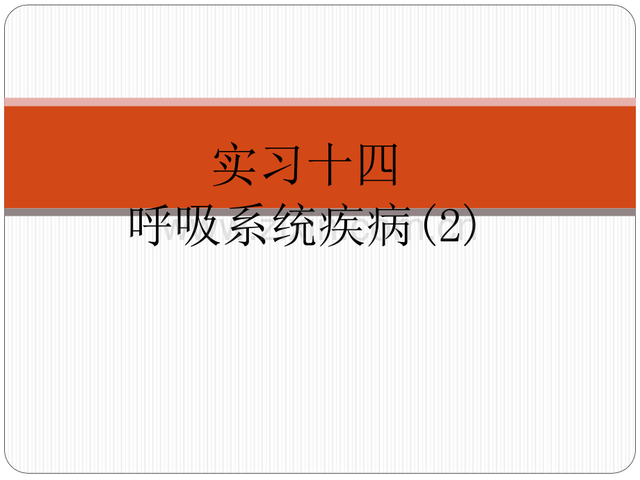 病理实习PPT课件实习13---呼吸系统疾病(二)(ppt文档).ppt_第1页