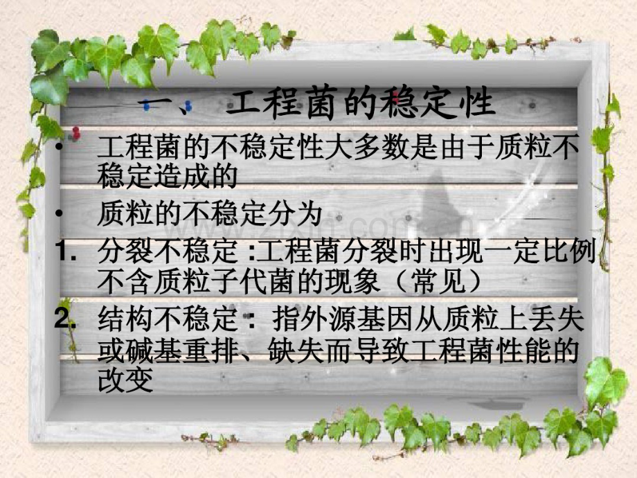 工程菌的高效表达与稳定性.pdf_第3页