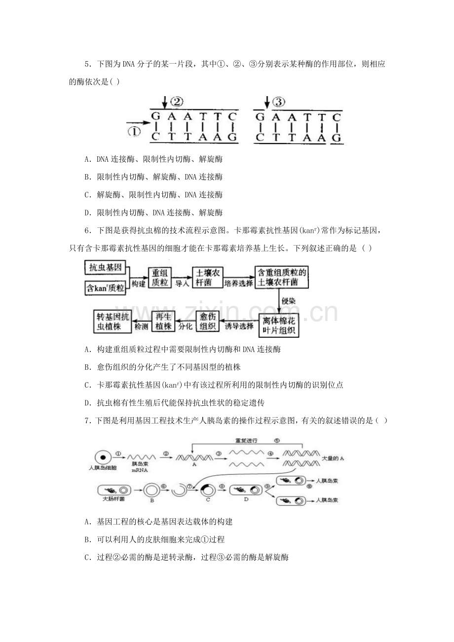 DNA重组技术的基本工具(同步练习).doc_第2页