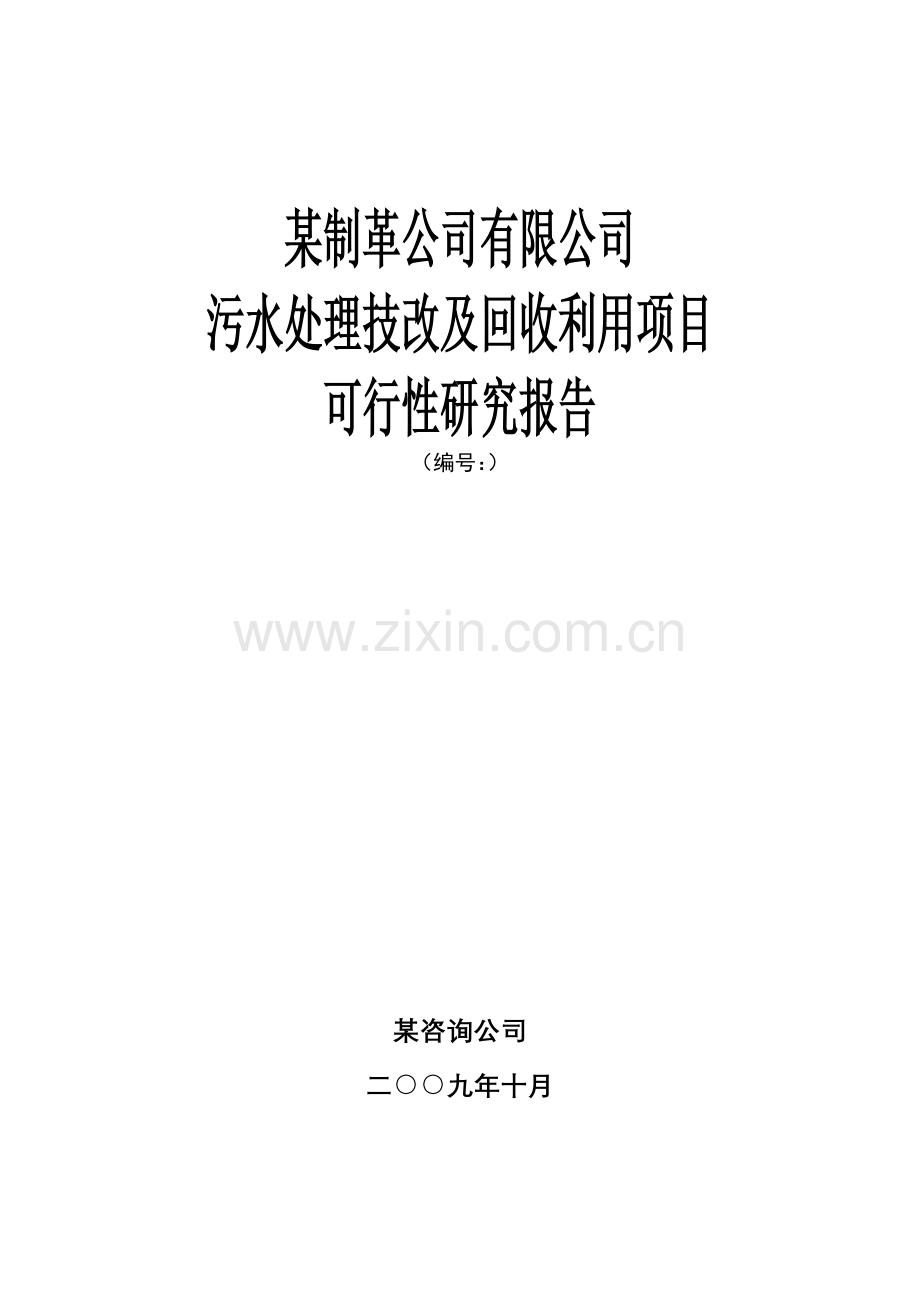 制革公司有限公司污水处理技改及回收利用项目建设可行性研究报告.doc_第1页