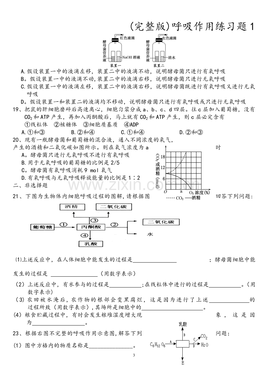 呼吸作用练习题1.doc_第3页