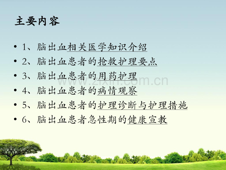 脑出血患者的护理.ppt.pdf_第2页