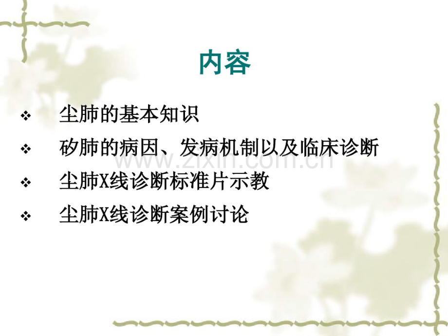 尘肺X线读片-(2).pdf_第3页