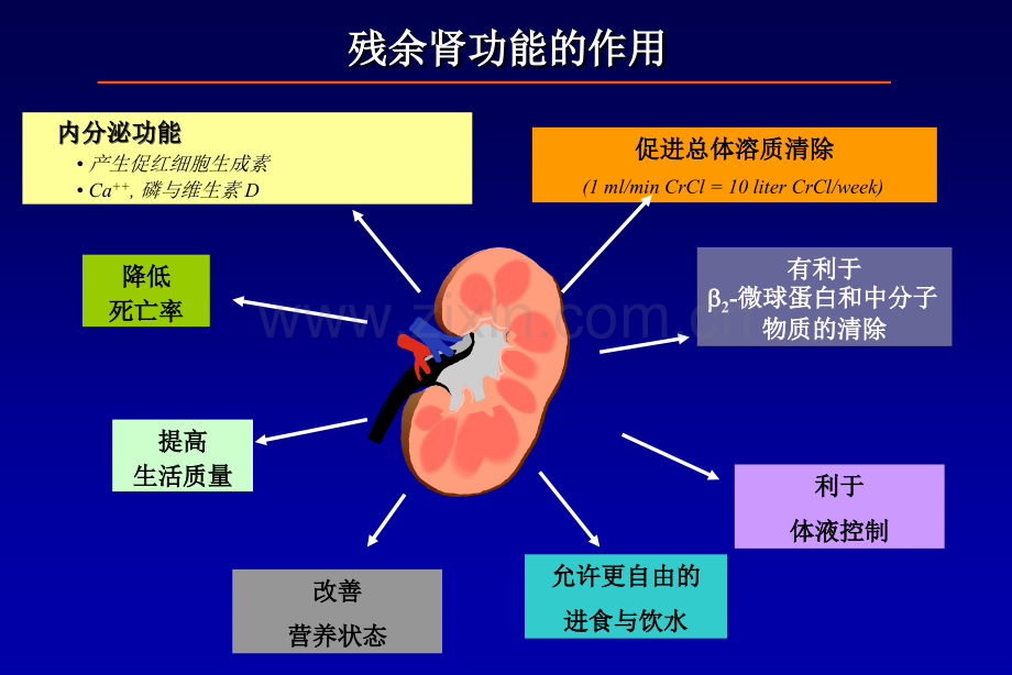 腹膜透析-(2)(ppt文档).ppt_第2页