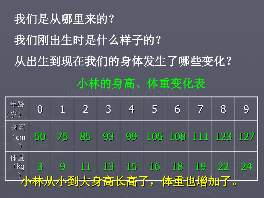 科学PPT课件7我们的生命周期.ppt_第3页