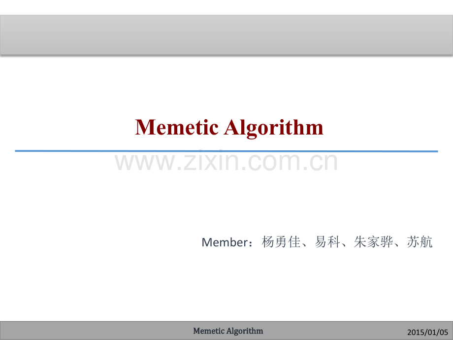 文化基因算法ppt.ppt_第1页