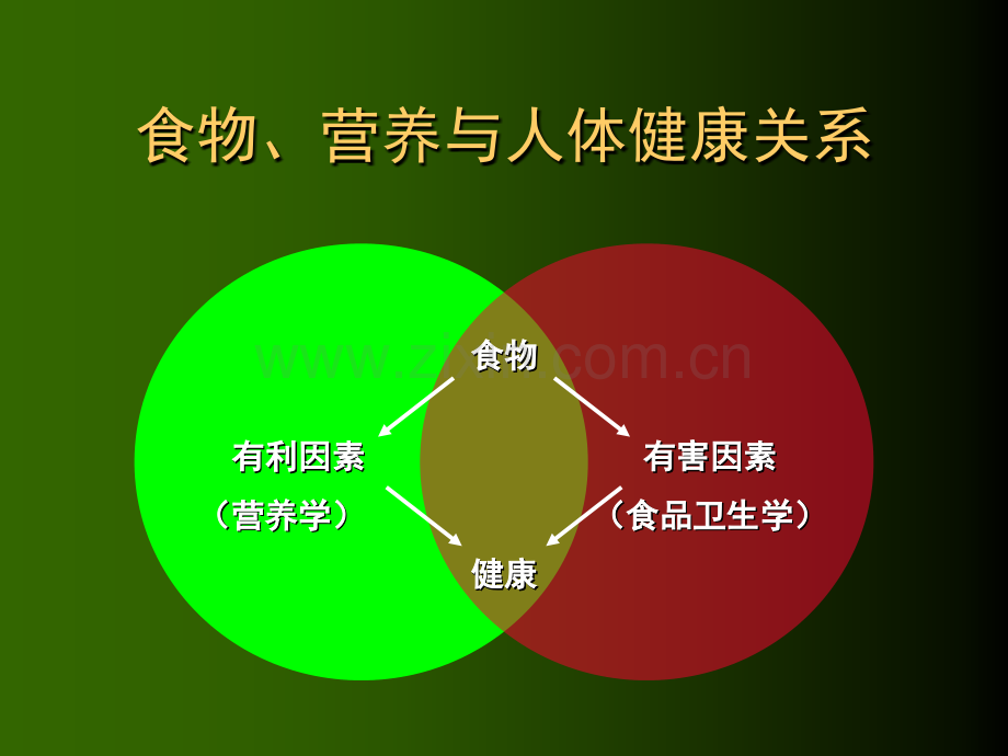 营养学基础知识.ppt.ppt_第2页