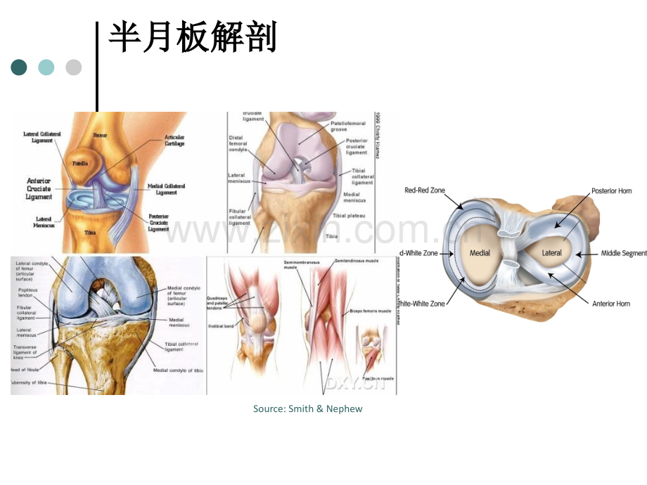 外科PPT课件半月板损伤1(ppt文档).ppt_第3页