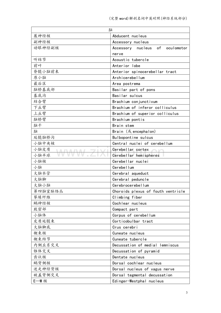 解剖名词中英对照(神经系统部分).doc_第3页