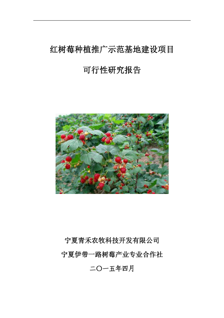 红树莓种植推广示范基地项目可行性研究报告.doc_第1页