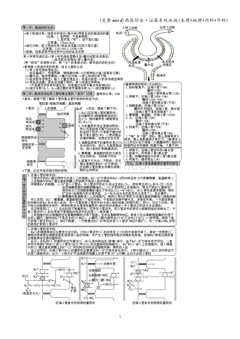 西医综合·泌尿系统疾病(生理+病理+内科+外科).doc_第3页