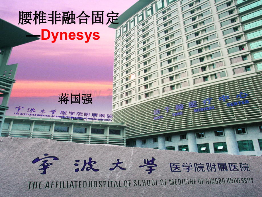 腰椎非融合固定——Dynesys(ppt文档).ppt_第1页