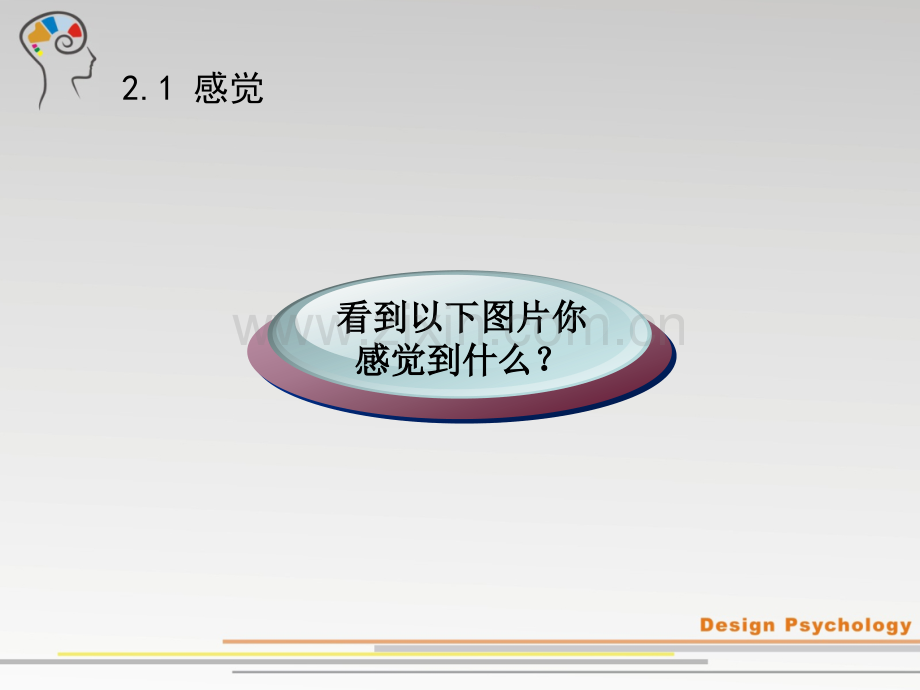 设计心理学第二章-设计中的感觉与知觉.ppt_第3页