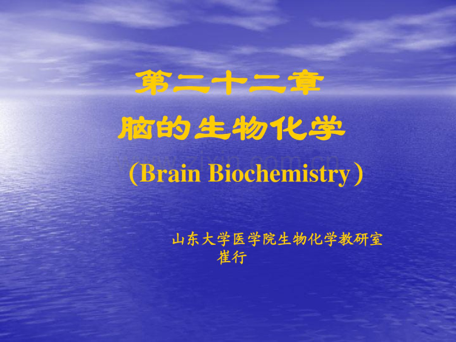 脑生物化学.pdf_第1页