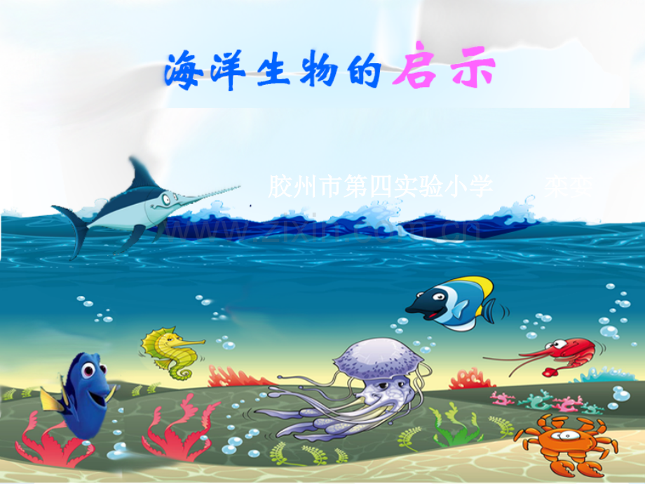 海洋生物的启示.ppt_第1页