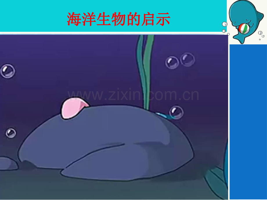 海洋生物的启示.ppt_第3页