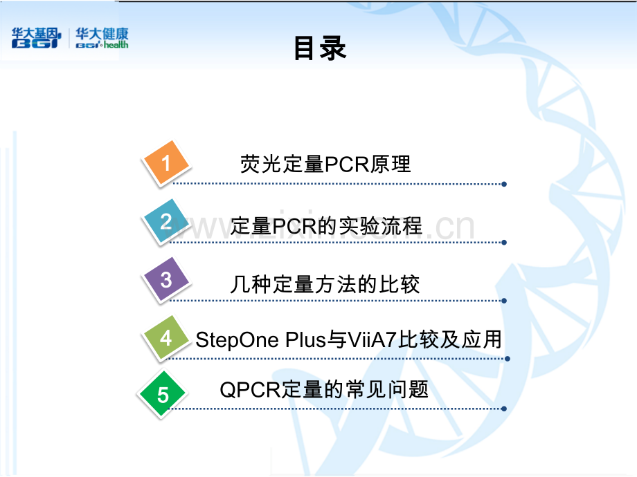 荧光定量PCR简介.ppt_第2页