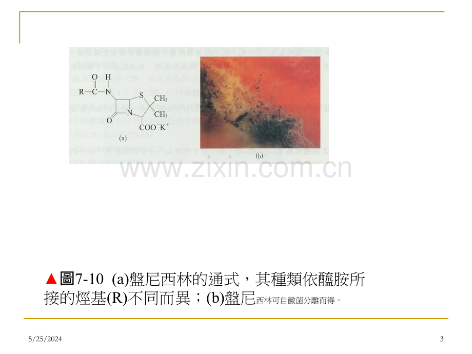 10羧酸和取代羧酸.ppt_第3页